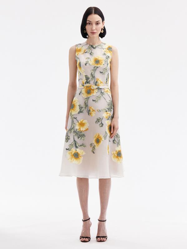 Degradé Poppy Fil Coupe Dress